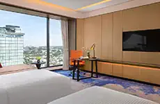 Deluxe City View