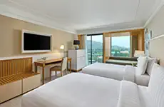 Deluxe Hill View