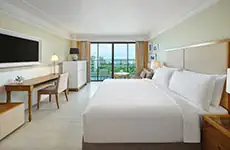 Deluxe Ocean Facing