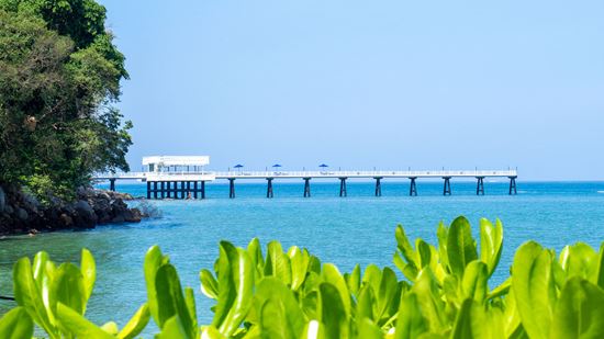 Свадьба в The Jetty